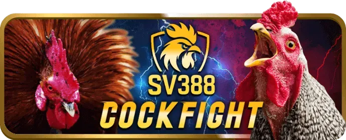 Giao dịch nhanh chóng tại 666win nhà cái